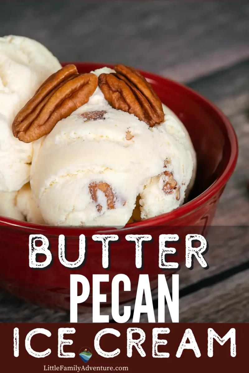 butter pecan ice cream in red nowl