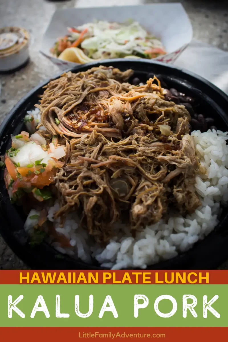 Hawaiian Kalua Pork over rice on plate