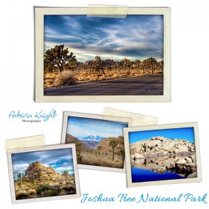 Family Fun in Joshua Tree, California