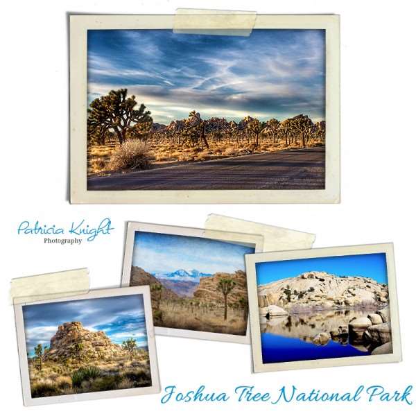 Joshua Tree National Park collage