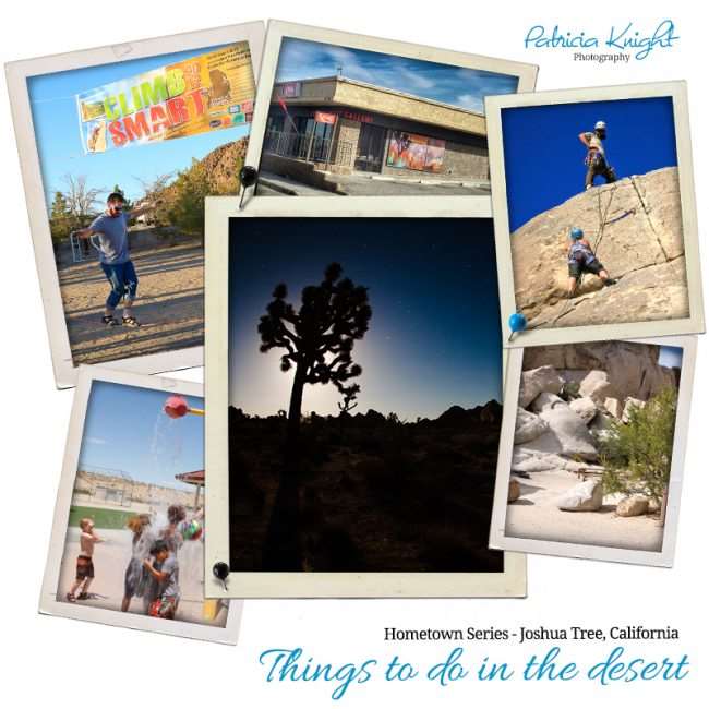 joshua tree ca collage