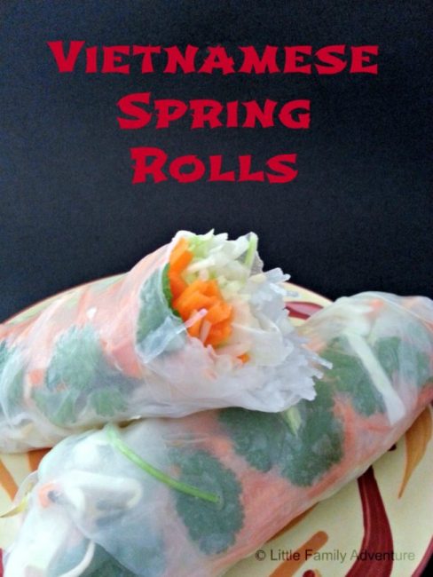 Vietnamese Shrimp Spring Rolls with Thai Peanut Sauce