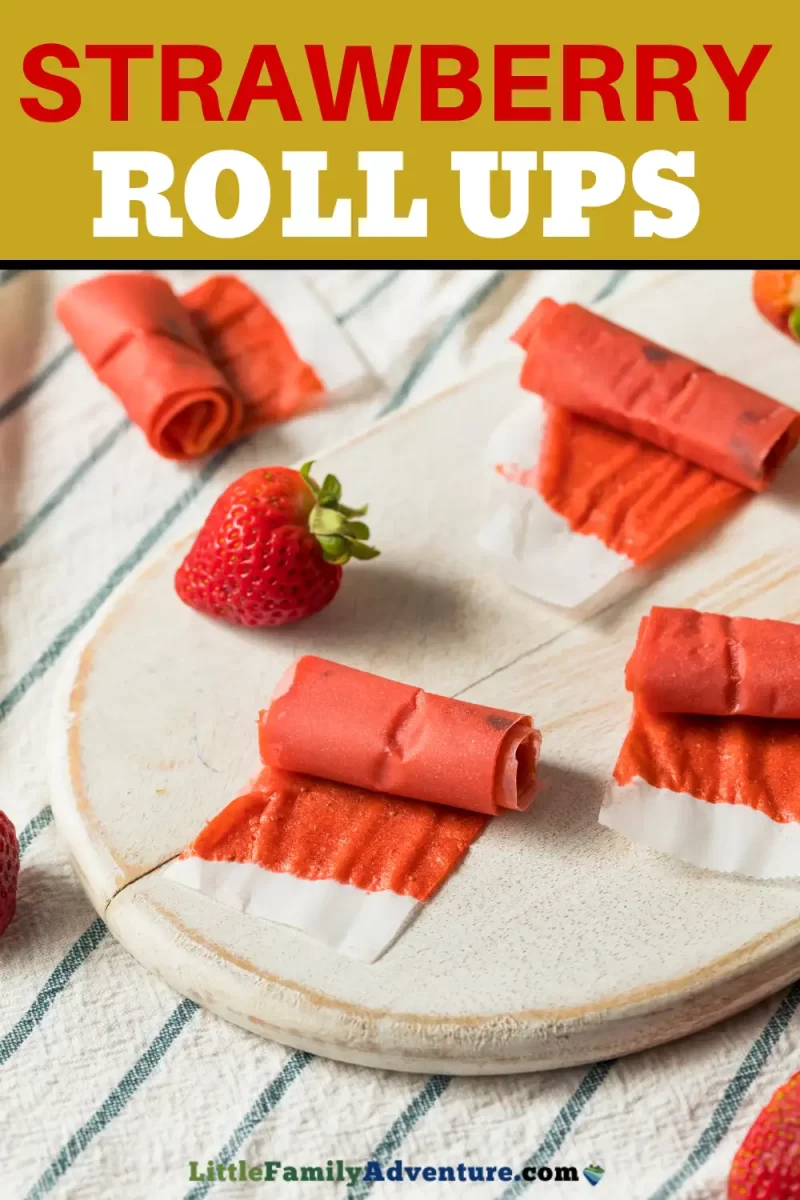 Homemade Fruit Roll-Ups - The Best Ideas for Kids