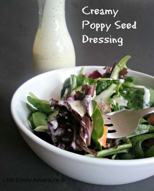 Poppy Seed Salad Dressing