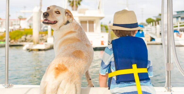 boy and dog on boat