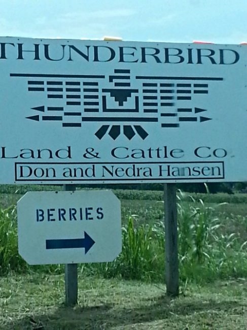 Thunderbird Berry Farm sign