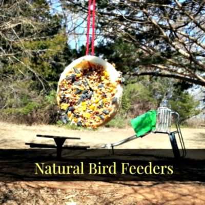 DIY Natural Bird Feeder