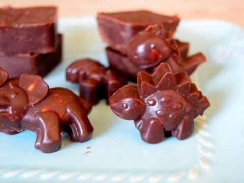 https://littlefamilyadventure.com/wp-content/uploads/2015/03/Fake-Chocolate-Dinos-e1426767339935-480x360.jpg