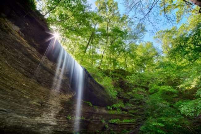 waterfall in a forest