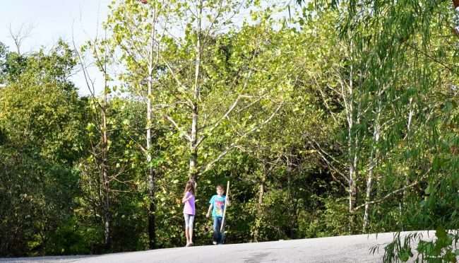 two kids hiking in forest