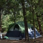 tent among trees