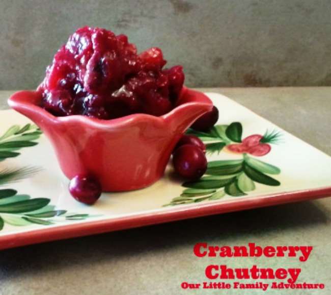 Easy Cranberry Chutney - Perfect for Thanksgiving dinner, with poultry, or over baked brie. It's deliciously simple to make.