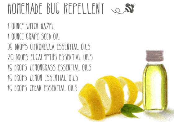 https://littlefamilyadventure.com/wp-content/uploads/2016/02/DIY-Organic-Bug-Repellent.gif