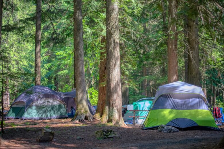 Unlock Secrets on How to Camp in National Parks with Our Practical Tips