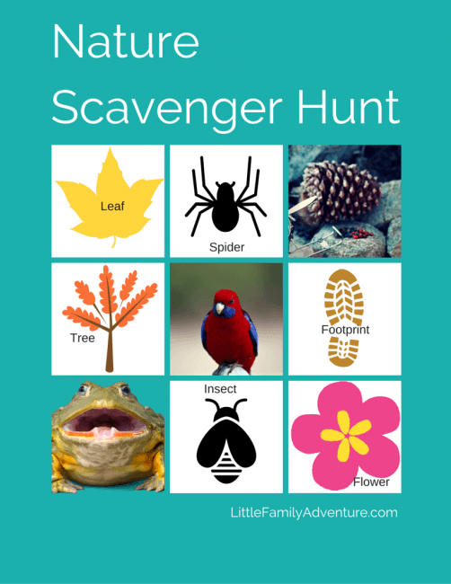 Hiking with Kids Essentials + Nature Scavenger Hunt | Little Family ...
