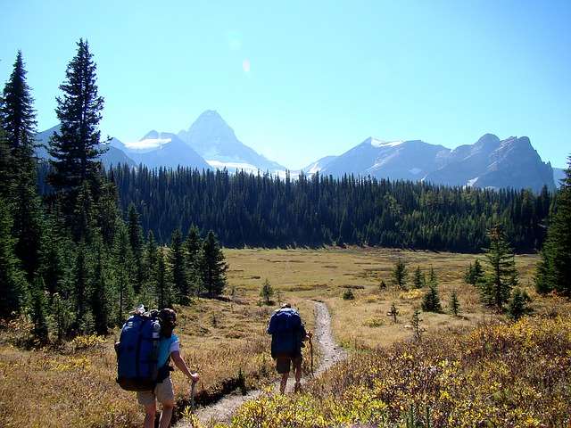 Take a Hike - Create Your Own Family Adventure with These Free Family Camping Activities