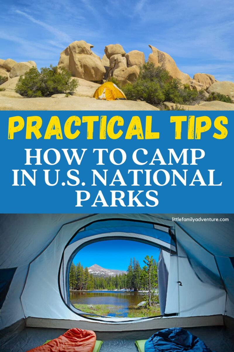 camping in national park graphic