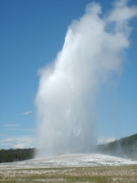 Old Faithful  at Yellowstone