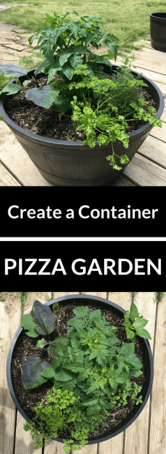 Container Pizza Garden
