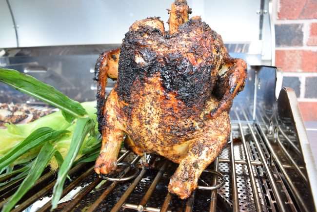 Beer can outlet chicken propane grill