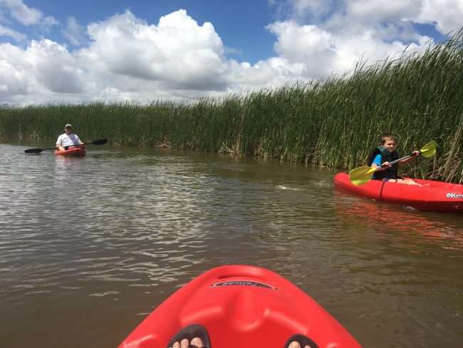 Kayaking Stinchcomb Wildlife Refuge