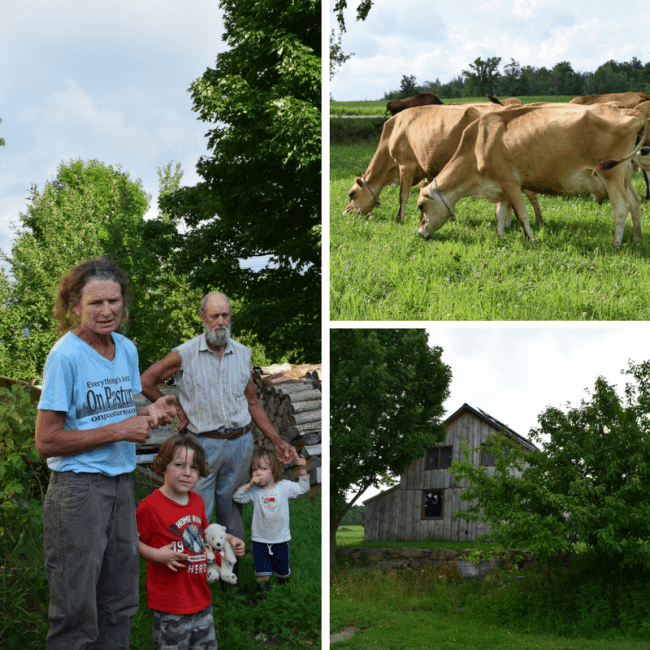 Take a Stonyfield Farm Tour - Organic Dairy Farms in Vermont - Green Wind Farm is a family farm transitioning to organic. 