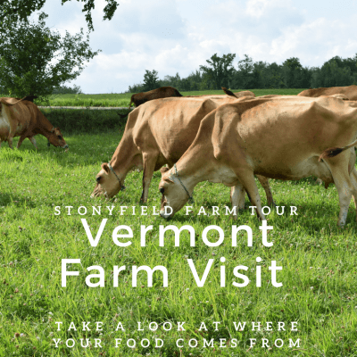 Stonyfield Farm Tour – Organic Dairy Farms in Vermont
