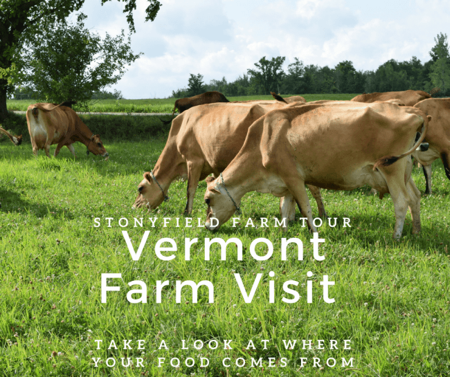 Stonyfield Farm Tour - Vermont Dairy Farm Visit to See Where Our Food Comes From