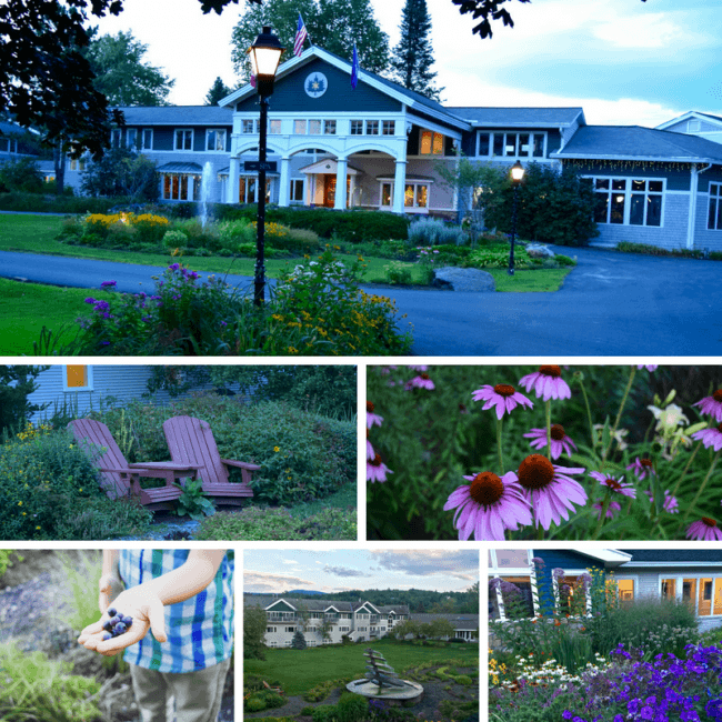 Take a Stonyfield Farm Tour - Organic Dairy Farms in Vermont - Stoweflake Resort in Stowe, Vermont