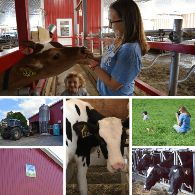 stonyfield farm tour