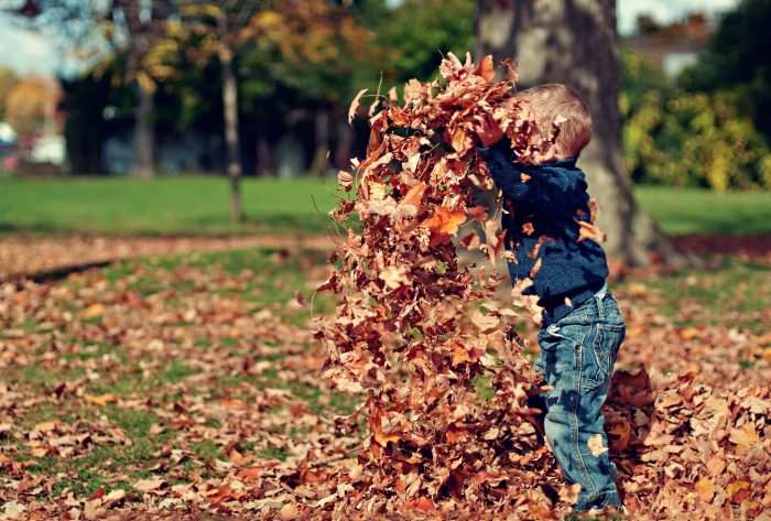 6 tips for tackling the corn maze with kids