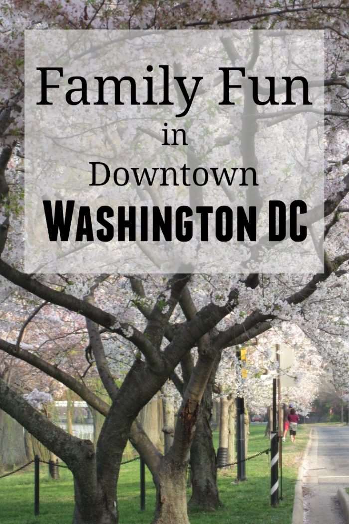 Family Fun in Downtown Washington DC - family travel