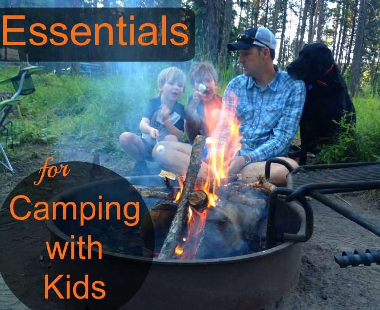 30 Car Camping Must Haves to Help Get Your Family Camping + Checklist ...