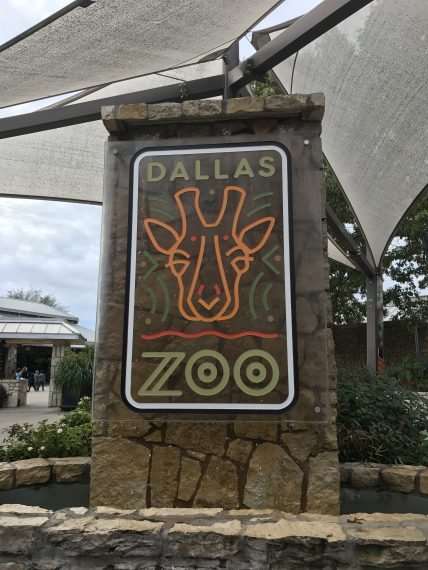 Fun Things to Do in Dallas (Holiday Edition) - These are places you want to visit with the family while in Dallas.