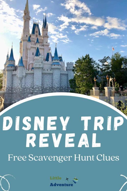 Looking for a BIG Disney Vacation Reveal Idea? You'll LOVE this ...