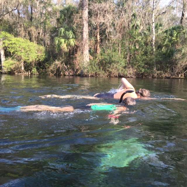 Swim with Manatees in Florida - 15 Best Vacations Spots for Outdoor Families - See where other outdoor families love to travel to and explore. These travel destinations will inspire you to get out and start exploring with your kids. 