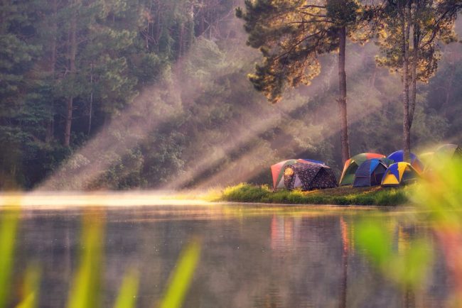 Tents along a river in the sunlight