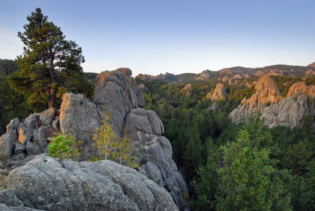 Black Hills Landscape