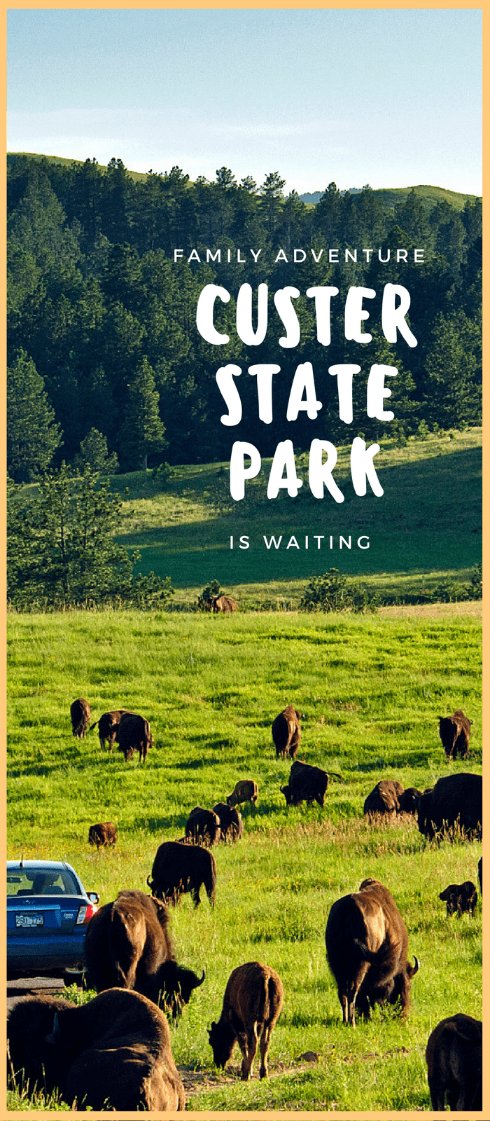 Custer State Park, South Dakota, Top Wildlife Viewing Destination, 