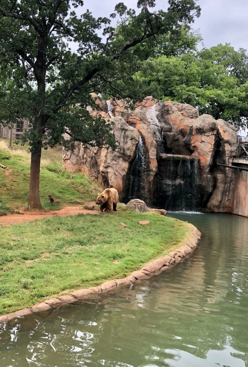 oklahoma city zoo tour