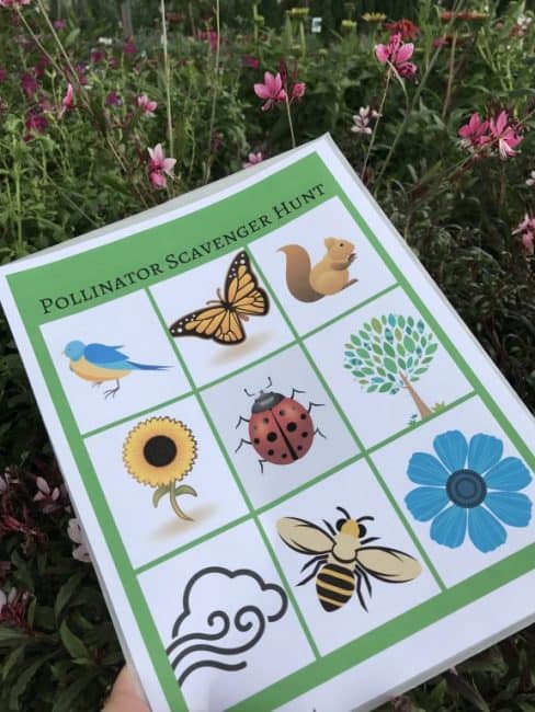 Printable Pollinator Scavenger Hunt