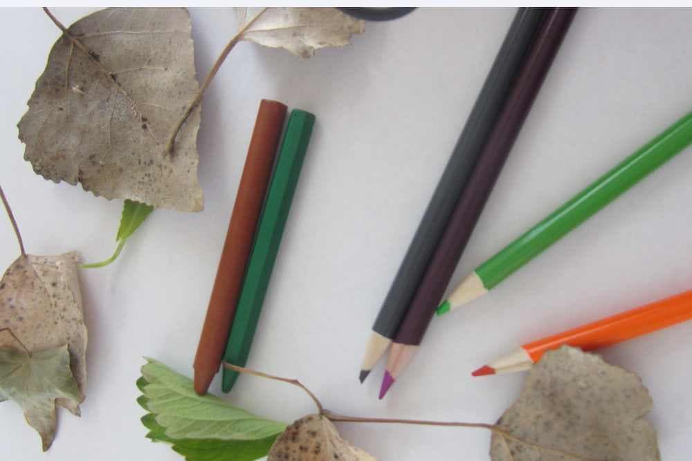 crayons without wrappers, colored pencils, and leaves on table for leaf rubs
