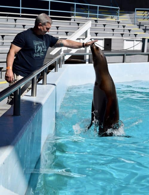 What You Need To Know Before A Visit To The Oklahoma City Zoo