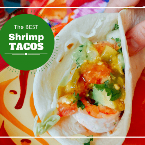 Host the Ultimate Cinco de Mayo Party with these tips and recipe for skewered Shrimp Tacos - A Taco Bar is a fun party idea and we'll show you how to do it