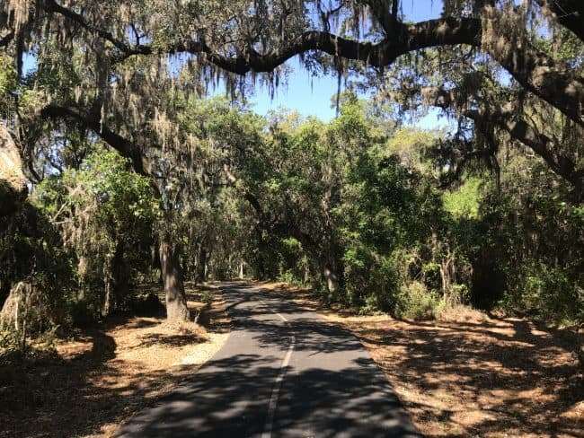 Exploring the Gulf State Park and Backcountry Trail