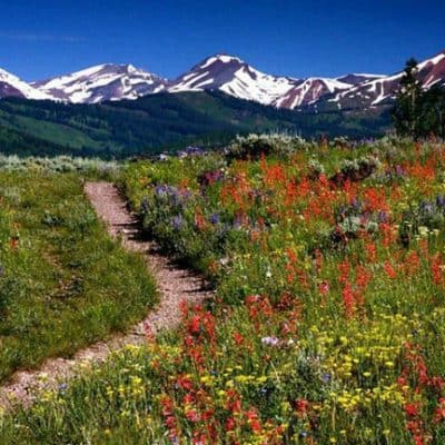 The Best Tips for Enjoying your Colorado Summer Vacation
