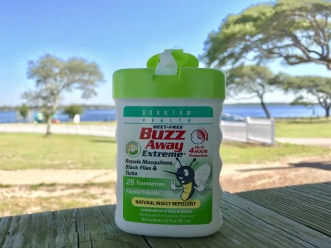 natural insect repellent