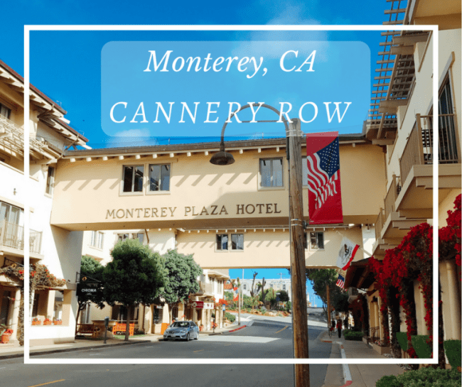 Have you done these things on Cannery Row in Monterey, CA? We share some of the best attractions, sites, and tips to see the MUST See spots in the area.