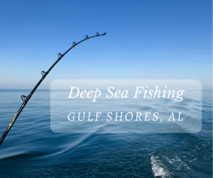 Getting to GO Deep Sea Fishing in Gulf Shores, Alabama for the 1st Time