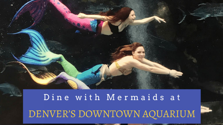 Dine With Mermaids at the Downtown Aquarium Restaurant